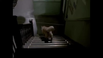 Due South....S03E06