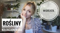  WISHLISTA Roślin  - 7000PLN?! 600PLN??? Rośliny KOLEKCJONERSKIE