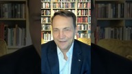 Afera wizowa rozwiązana #pis#shorts#sikorski