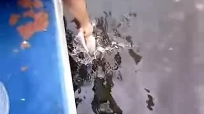 A rybki łowię tak !