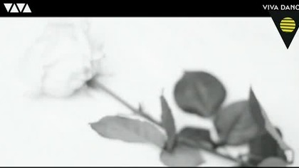 Beth Ditto - I Wrote The Book (VIVA Polska)
