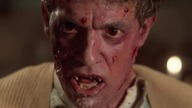 Demoniczny wiatr Demon Wind (1990)PL.