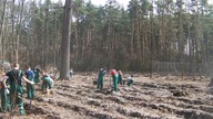 Praktyki Ib 2016 (TL Milicz)