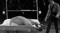 Alexander Kluge - Die Artisten in der Zirkuskuppel / Artyści pod kopułą cyrku: bezradni napisy ENG (