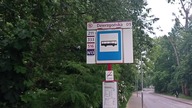 ADWOKACI W AKCJI ODCINEK 260 COŚ WIDZIAŁEM