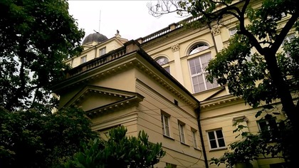 171.  Paulownie w Ogrodzie botanicznym Uniwersytetu Warszawskiego sierpień 2016r