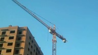 Tragiczny finał wspinaczki na żurawia