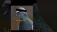Indie zatrzymały gołębia za szpiegostwo na rzecz Chin.  #chiny #short