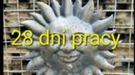 Pszczoły murarki w 28 dni zabudowały prawie cały ul.