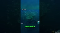 Straszne potwory oceanu Wielka Ssawka, jej terytorium
