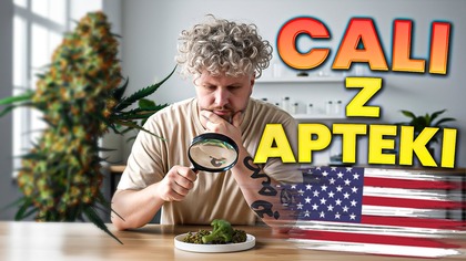 PRZYWIEŹLIŚMY GELATO DO POLSKI