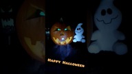 Happy Halloween #halloween #halloween2023 #dynia #diy #funnyshorts #funnyvideo #dynia #diyproject