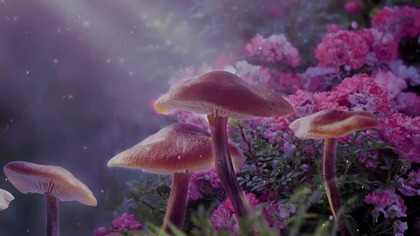 Euphoria - Cathartic Emotional Release - Deep Healing Music - Meditation - Pleas (1)