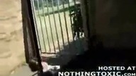 Parkour Fails (Mix)