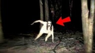 Najstraszniejsze Paranormalne Śledztwo! Straszne Filmy!