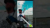 The Wind - Vistula River #shorts