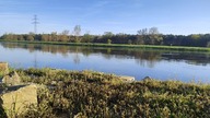 KLASYCZNY FEEDER na rzece - Łowienie z klipsem na łączeniu rzek