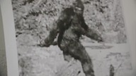 TROPICIELE PRAWDY - MICKIEWICZ (2019)