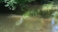 Rzeka Koprzywianka 