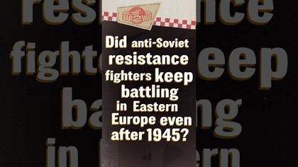 The Forgotten Guerrillas Who Fought the Soviets After WWII #W2W #shorts