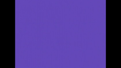 Dwaj Zgryźliwi Tetrycy....inVID-1740065276247