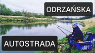 294 ODRZAŃSKA AUTOSTRADA