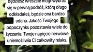 Trygon Ziemi #horoskop #shorts
