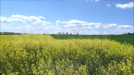 Burza podczas wycieczki rowerowej