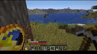 Bruh #minecraft #bruh #game #Short #Shorts