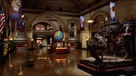 Noc w muzeum