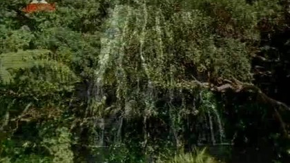 S11E01 Preludium do burzy