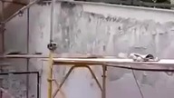 Fachowiec z Uzbekistanu