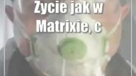 Życie jak w Matrixie, czyli początki koronawirusa w Polsce