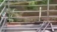 Spawacz po zdalnym nauczaniu