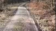 Wokół rezerwatu przyrody Paraszyńskie Wąwozy (cały materiał)