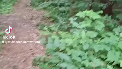 Natura jest najlepszym terapeutą 