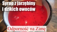 Syrop z jarzębiny, dzikiej róży i innych.  Zrób już dziś.  Naturalna ochrona przed infekcjami.