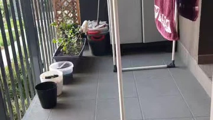 Co jest najważniejsze przy gotowaniu?