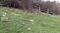 pov: kiedy ziomek zaprasza na melanż #shorts