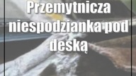 Przemytnicza niespodzianka pod deską rozdzielczą