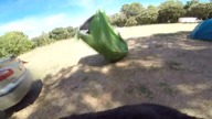 Remi Gaillard jako niedźwiedź grizli