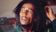 Bob Marley - Run For Cover