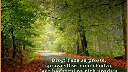 Alfred Cookman - Obmyty w krwi Baranka