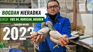 Bogdan Nieradka - gołębie Lini Vos 94,Houben, Pitbull, Panter - Gołębie młode - film gołębie 2023!