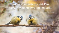 Audycja Wyzwolony - Ashish Majmundar