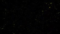 Background galactic and stars animated HD full free New Years 2021 / 2022 ver Yellow #Free #Royality