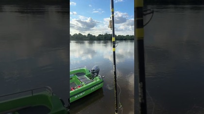 Łowimy na bezludnej wyspie na środku dzikiej Wisły! Łaaaa Link do wyprawy w komentarzach.