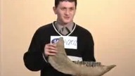 Najwięksi debile programu Idol