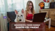 Trener i behawiorysta - zawód, czy pasja?
