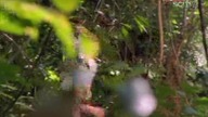 Zaginiony świat /The Lost World (1999)S01E13 Lektor